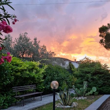 San Casciano Bed & Breakfast Narni Exterior foto